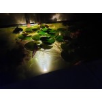 in-lite | SUB | Onderwaterspots